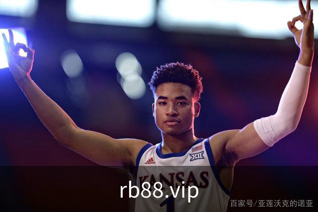 rb88.vip公司简介图片